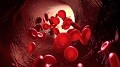 Blood Support
