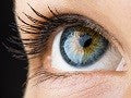 Eye, Ear & Nasal Support