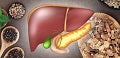 Liver & Gall Support