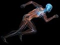 Vitality & Performance Enhancement